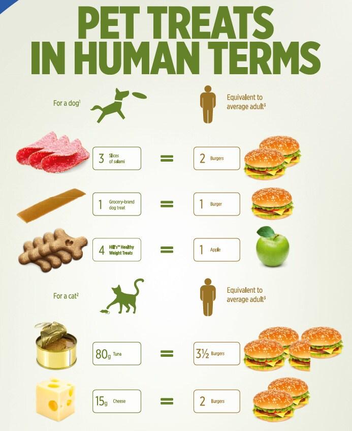 Kalorický ekvivalent pochúťok