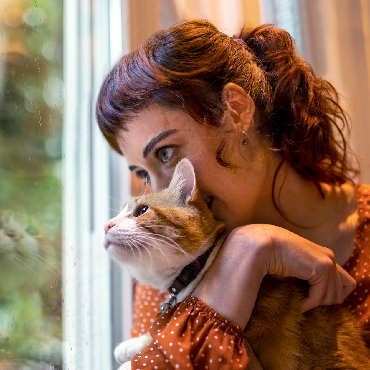 Mačka na gauči so svojím majiteľom