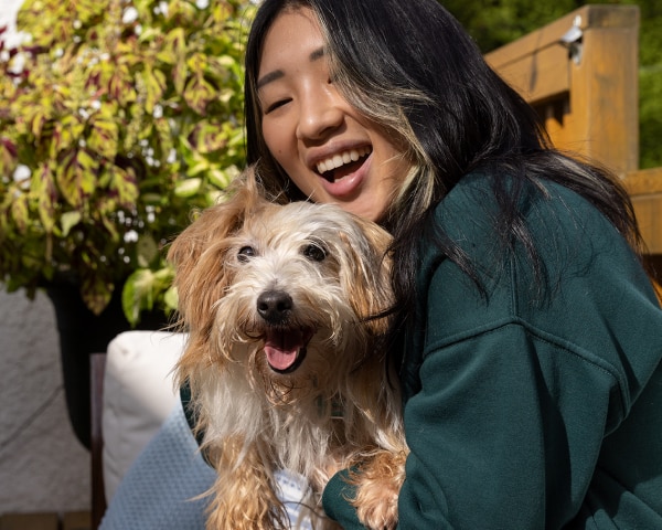 Malý pes s rodičom domáceho maznáčika