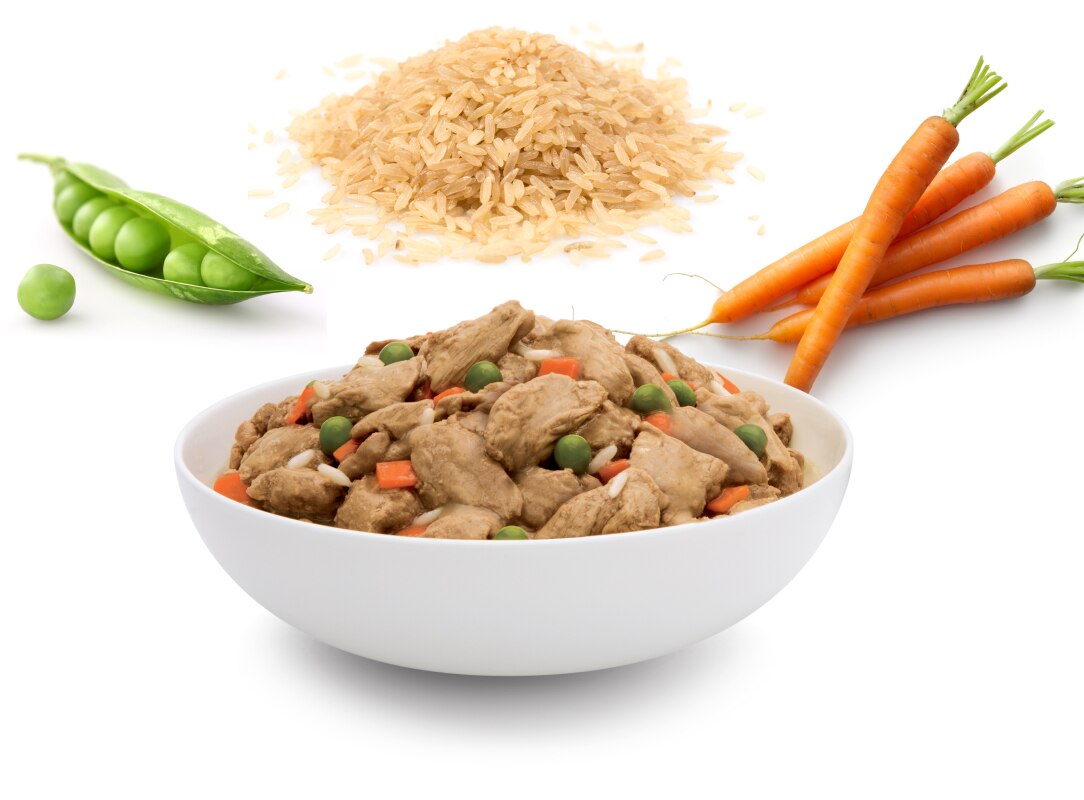 A bowl of pet food with carrots, Peas and rice