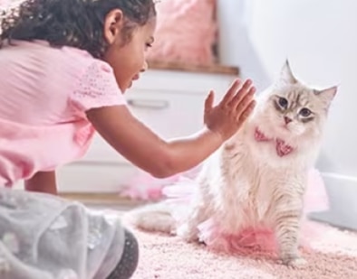 A young girl playing a kitten